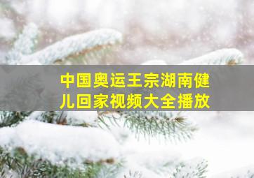 中国奥运王宗湖南健儿回家视频大全播放