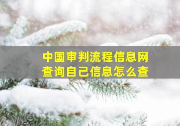 中国审判流程信息网查询自己信息怎么查