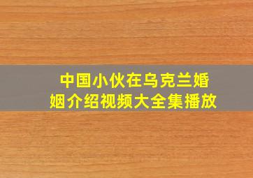 中国小伙在乌克兰婚姻介绍视频大全集播放