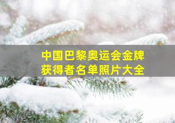 中国巴黎奥运会金牌获得者名单照片大全