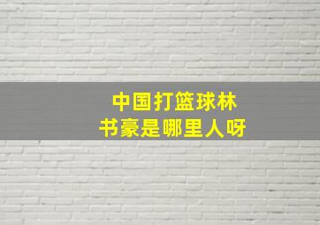 中国打篮球林书豪是哪里人呀