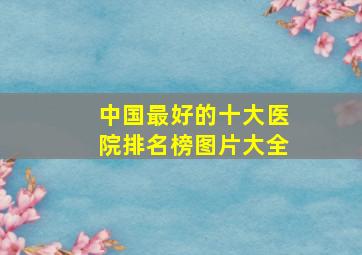 中国最好的十大医院排名榜图片大全