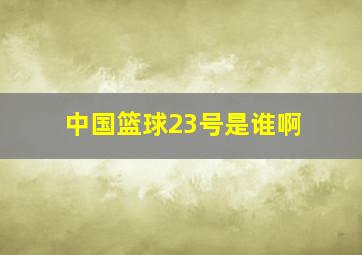 中国篮球23号是谁啊