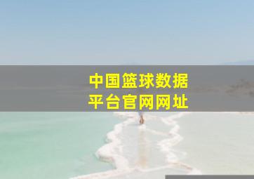 中国篮球数据平台官网网址