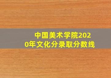 中国美术学院2020年文化分录取分数线