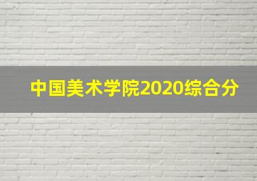 中国美术学院2020综合分