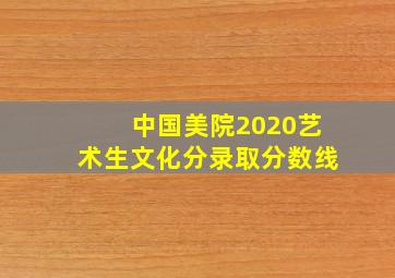 中国美院2020艺术生文化分录取分数线