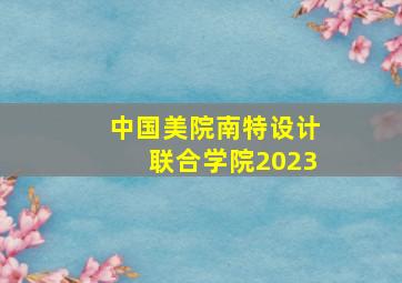 中国美院南特设计联合学院2023