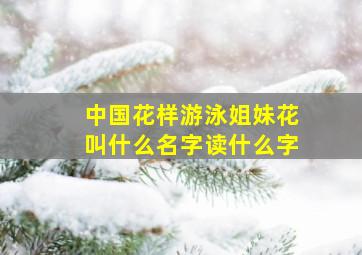 中国花样游泳姐妹花叫什么名字读什么字