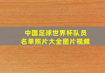 中国足球世界杯队员名单照片大全图片视频