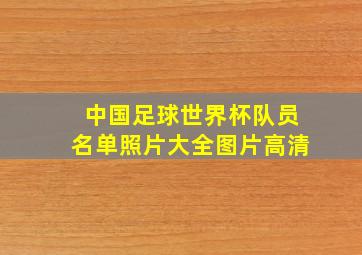 中国足球世界杯队员名单照片大全图片高清