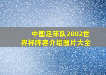 中国足球队2002世界杯阵容介绍图片大全