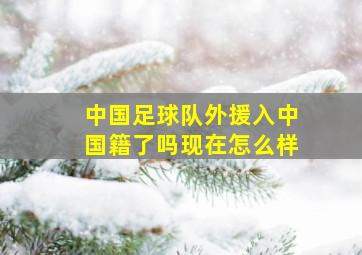 中国足球队外援入中国籍了吗现在怎么样