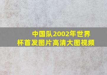 中国队2002年世界杯首发图片高清大图视频