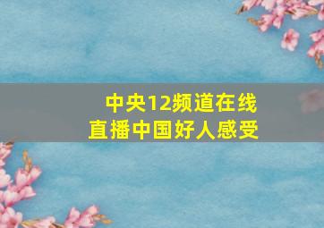 中央12频道在线直播中国好人感受