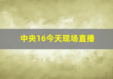 中央16今天现场直播