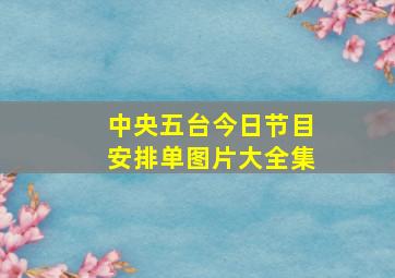 中央五台今日节目安排单图片大全集