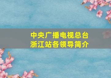 中央广播电视总台浙江站各领导简介