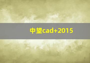 中望cad+2015