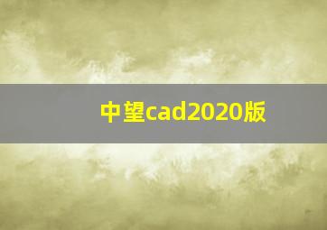 中望cad2020版