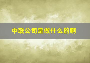 中联公司是做什么的啊