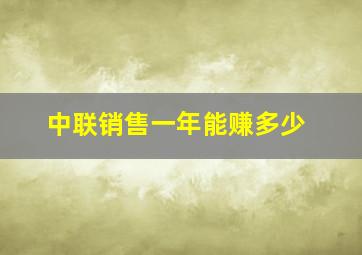 中联销售一年能赚多少