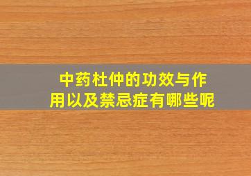 中药杜仲的功效与作用以及禁忌症有哪些呢