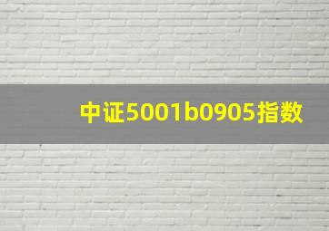 中证5001b0905指数