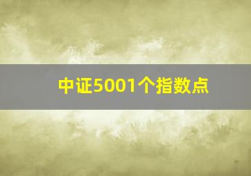 中证5001个指数点