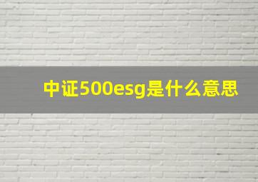 中证500esg是什么意思