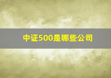 中证500是哪些公司