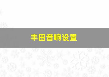 丰田音响设置