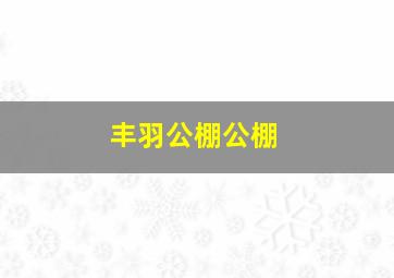 丰羽公棚公棚