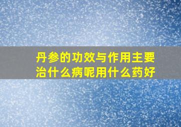 丹参的功效与作用主要治什么病呢用什么药好