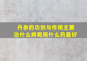 丹参的功效与作用主要治什么病呢用什么药最好