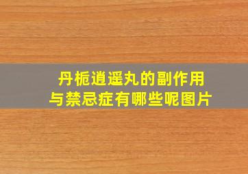 丹栀逍遥丸的副作用与禁忌症有哪些呢图片