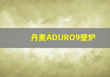 丹麦ADURO9壁炉