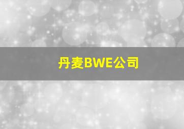 丹麦BWE公司