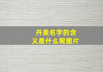 丹麦名字的含义是什么呢图片