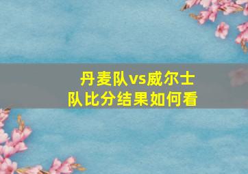 丹麦队vs威尔士队比分结果如何看