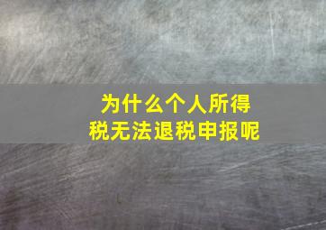 为什么个人所得税无法退税申报呢