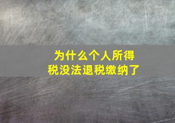 为什么个人所得税没法退税缴纳了