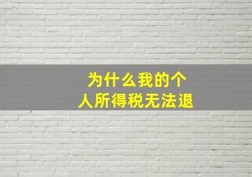 为什么我的个人所得税无法退