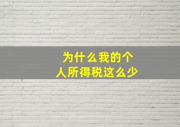 为什么我的个人所得税这么少