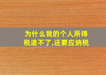 为什么我的个人所得税退不了,还要应纳税