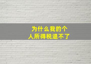 为什么我的个人所得税退不了