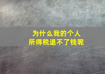 为什么我的个人所得税退不了钱呢