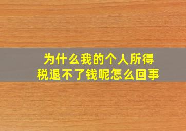 为什么我的个人所得税退不了钱呢怎么回事