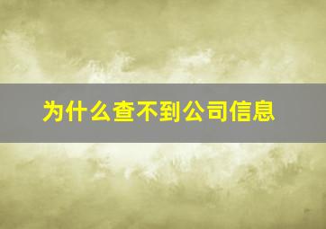 为什么查不到公司信息