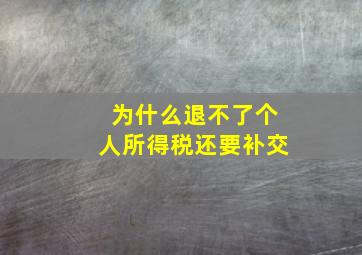 为什么退不了个人所得税还要补交